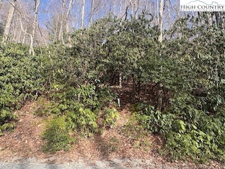 293 Poplar Dr, Beech Mountain, NC 28604