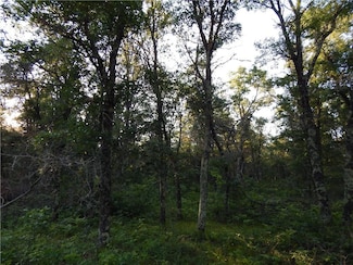 xxx Namekagon Trail, Webb Lake, WI 54830
