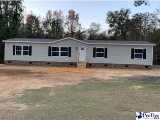 2347 Pineneedle Ct, Hamer, SC 29547
