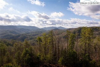 1320 Roundleaf Ln, Ferguson, NC 28624