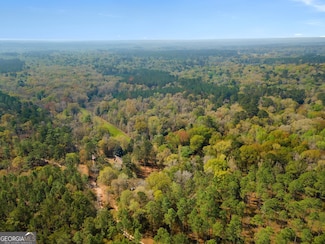 4103 Hadley Ferry Rd, Cairo, GA 39828