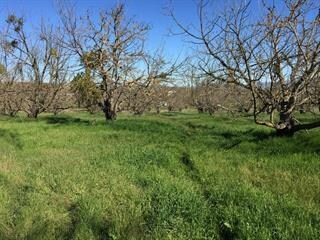 99 Lang St, San Juan Bautista, CA 95045