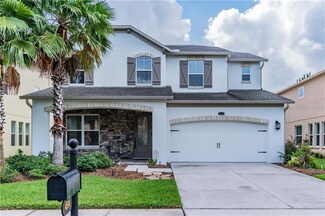 4514 Vermillion Sky Dr, Wesley Chapel, FL 33544