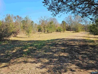 00066 Barkley Bridge Rd, Falkville, AL 35622