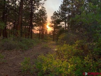 199 Meadow Ln, Ridgway, CO 81432