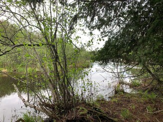00 Walker Rd, Brevort Township, MI 49760