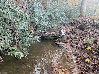 703 Buckwheat Rd, McGrady, NC 28649