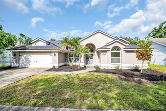5437 Windbrush Dr, Tampa, FL 33625