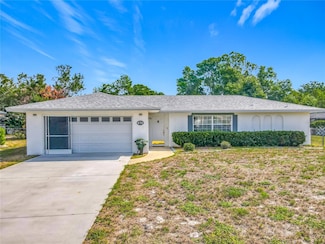 670 Oleander St, Mount Dora, FL 32757