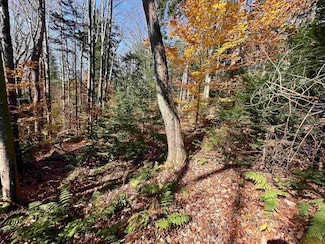 00 Lawrence Davis Dr, Wilmington, VT 05363