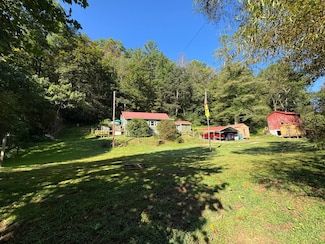 711 Bear Fork Rd, New Milton, WV 26411