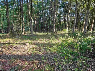 Lot 16 Summit Ct, Bruceton Mills, WV 26525