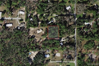 8181 W Tracy, Homosassa, FL 34448
