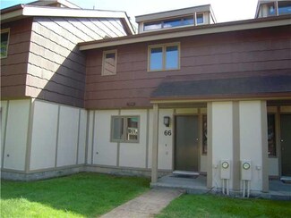 66 Alpine Meadows, Ellicottville, NY 14731