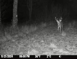 0 Binder Rd, Planfield, MI 48763