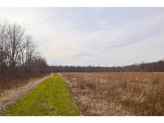 0 Twp Road 391 Unit 3873007, Sullivan, OH 44880