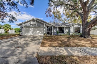10446 Tara Dr, Riverview, FL 33578