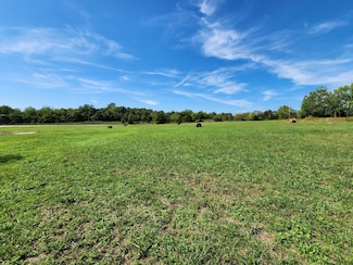 Lot 1 Private Road 1060, Washburn Township, MO 65745