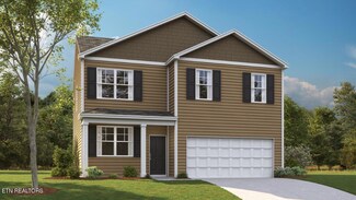 9539 River Cane Rd, Mascot, TN 37806