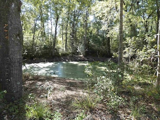 TBD Namon Spears Rd, Crawfordville, FL 32327