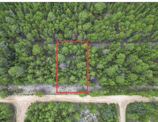 153 Romanshorn St, Interlachen, FL 32148