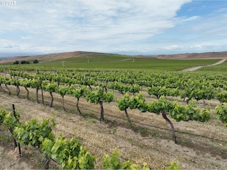 1500 Vintage Rd, Zillah, WA 98953