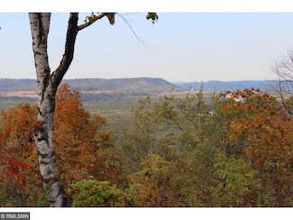 Lot 5 706th St, Pepin Township, MN 55981