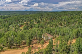 449 Woody Creek Rd, Divide, CO 80814