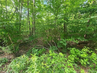 5625 Tyler Dr, Powhatan, VA 23139