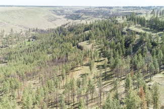 31875 Hawk Creek Ranch Rd N, Deer Meadows, WA 99122