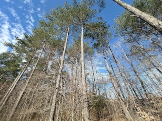 0 Ruckersville Rd Unit 23060955, Elberton, GA 30635