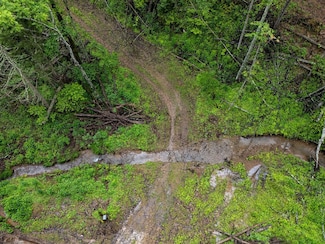 Tbd Trouser Leg Rd, Wallace, WV 26448