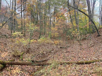 TBD Us Route 48 (Rr), Elkins, WV 26241