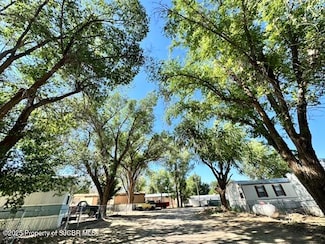 1310 Sanchez Ln, Bloomfield, NM 87413