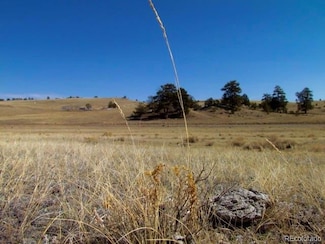0 Tbd Cr 53 Unit REC2075473, Hartsel, CO 80449
