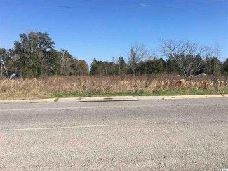 41 S Carolina 41, Hemingway, SC 29554