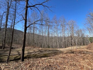 42 Witch Hazel Dr, Franklin, NC 28734