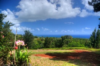 3755 Waha Rd, Kalaheo, HI 96741