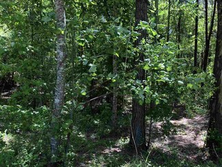 01 Highway 487 Hwy, Lena, MS 39094