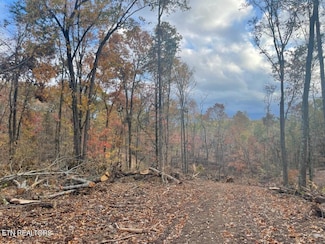 0 Cedar Grove Rd, Loudon, TN 37774