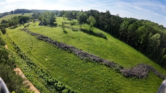 0 Badgett Rd, Russellville, AL 35654