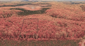 TBD Lot #4 Tressel Trail, Iron River, WI 54847