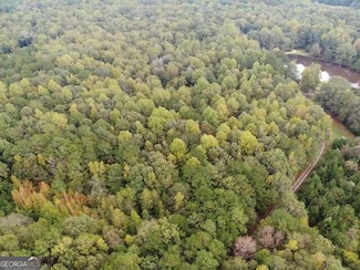 0 Williams Mill Rd Unit 10390161, Zebulon, GA 30295