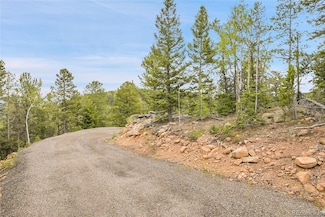000 Mule Slide Trail, Conifer, CO 80433