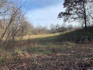 347 Cr, Piggott, AR 72454