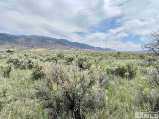 10915 Ishi Point Dr Unit 161, Lovelock, NV 89419