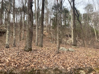 00 New Cut Rd, Tuscumbia, AL 35674