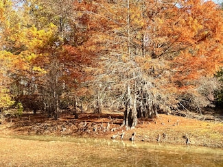 4134 Barton Ferry Rd, Columbus, MS 39705