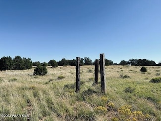 265 Rocky Top Rd, Seligman, AZ 86337