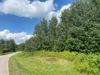 ON Amber Lake Rd W Unit 8.3 Acres, Minocqua, WI 54548